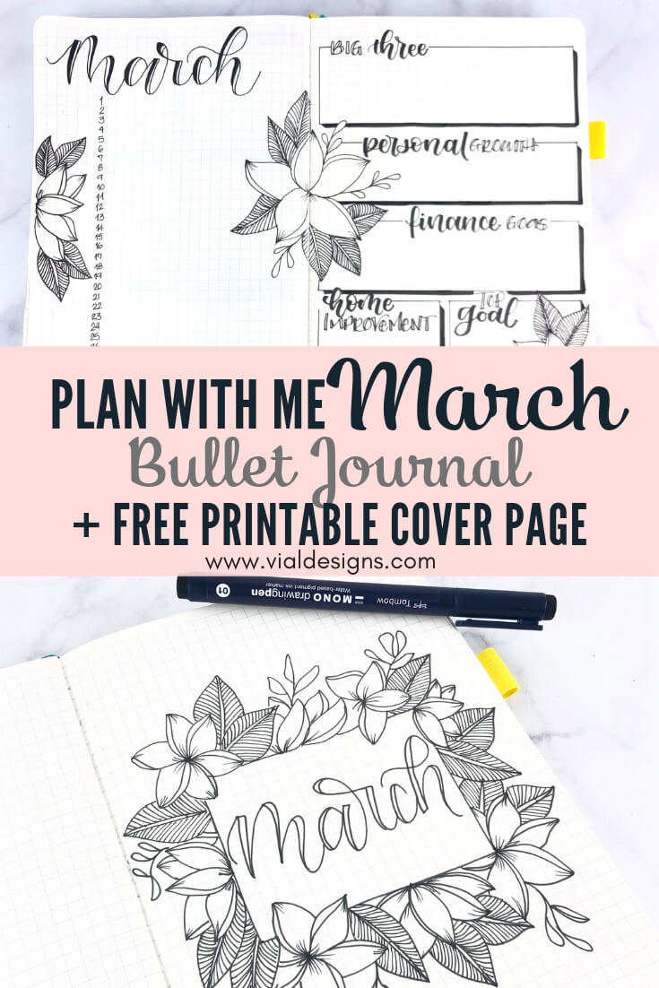 Abstract and Botanical Drawing Bullet Journal Set up - Plan with me